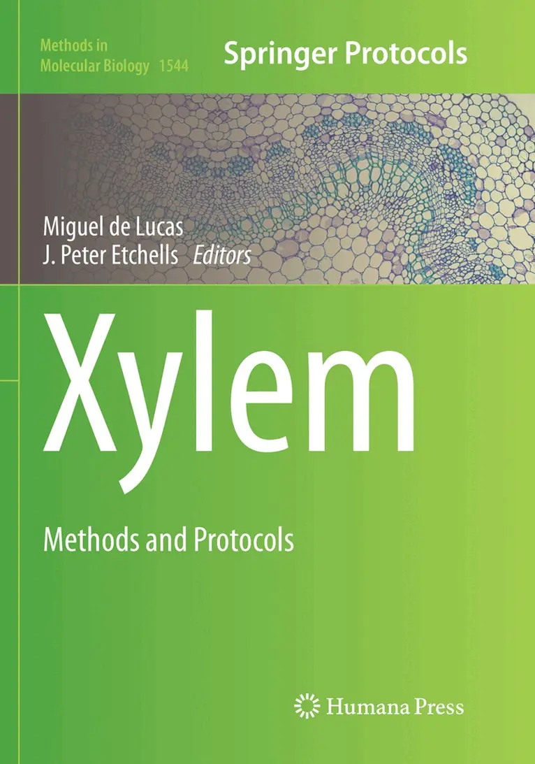 Miguel de Lucas, J. Peter Etchhells - Xylem, Häftad. Tillgänglighet: Lägg i varukorg
