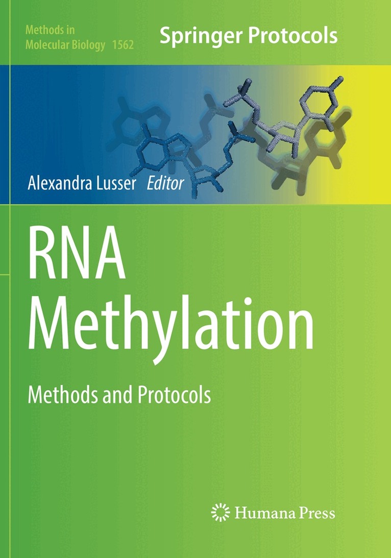 Alexandra Lusser - RNA Methylation, Häftad