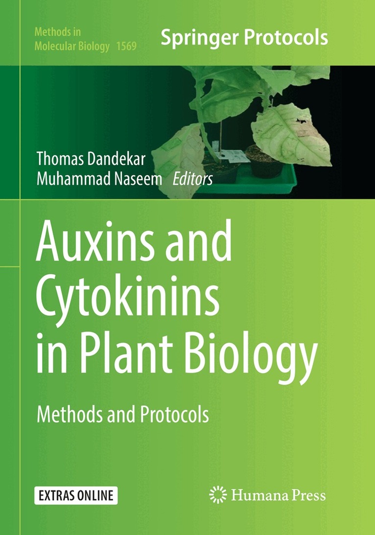 Thomas Dandekar, Muhammad Naseem - Auxins and Cytokinins in Plant Biology, Häftad
