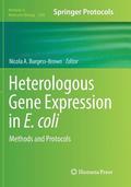 Heterologous Gene Expression in E.coli