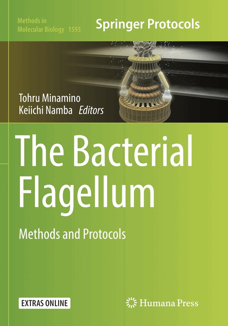 Tohru Minamino, Keiichi Namba - Bacterial Flagellum, Häftad