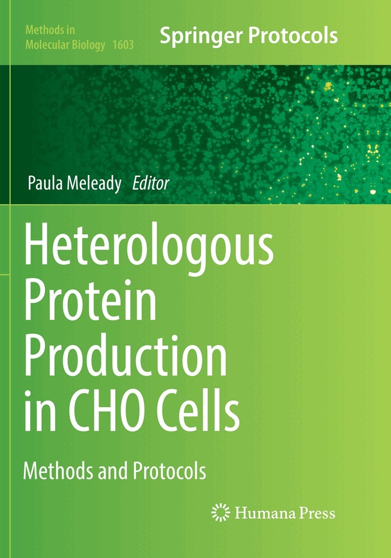 Paula Meleady - Heterologous Protein Production in CHO Cells, Häftad