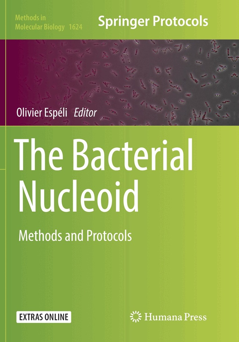 Olivier Espéli - Bacterial Nucleoid, Häftad