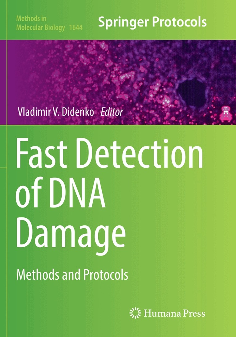 Vladimir V. Didenko - Fast Detection of DNA Damage, Häftad