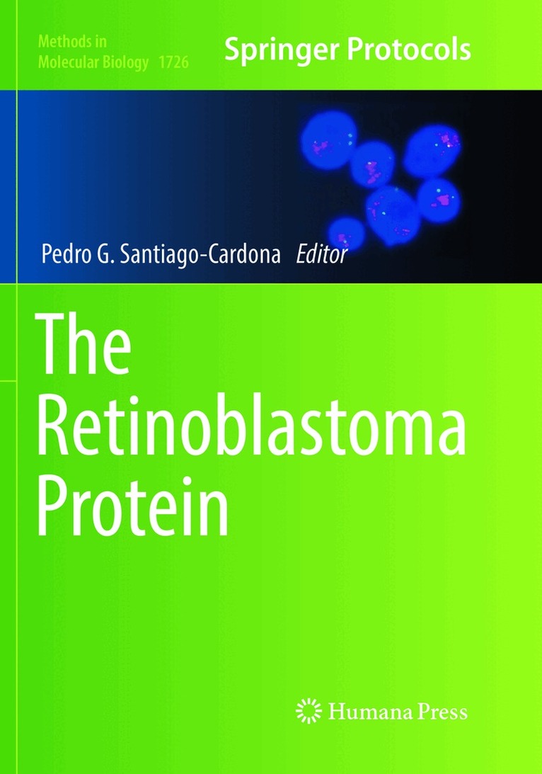 Pedro G. Santiago-Cardona - Retinoblastoma Protein, Häftad