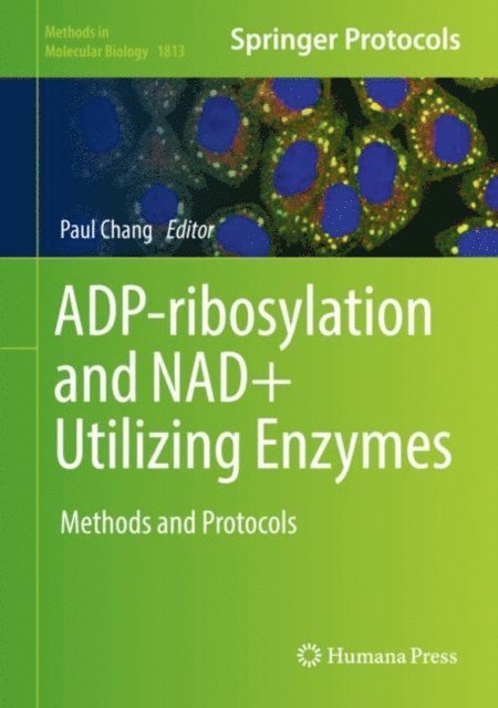 Paul Chang - ADP-ribosylation and NAD+ Utilizing Enzymes, E-bok