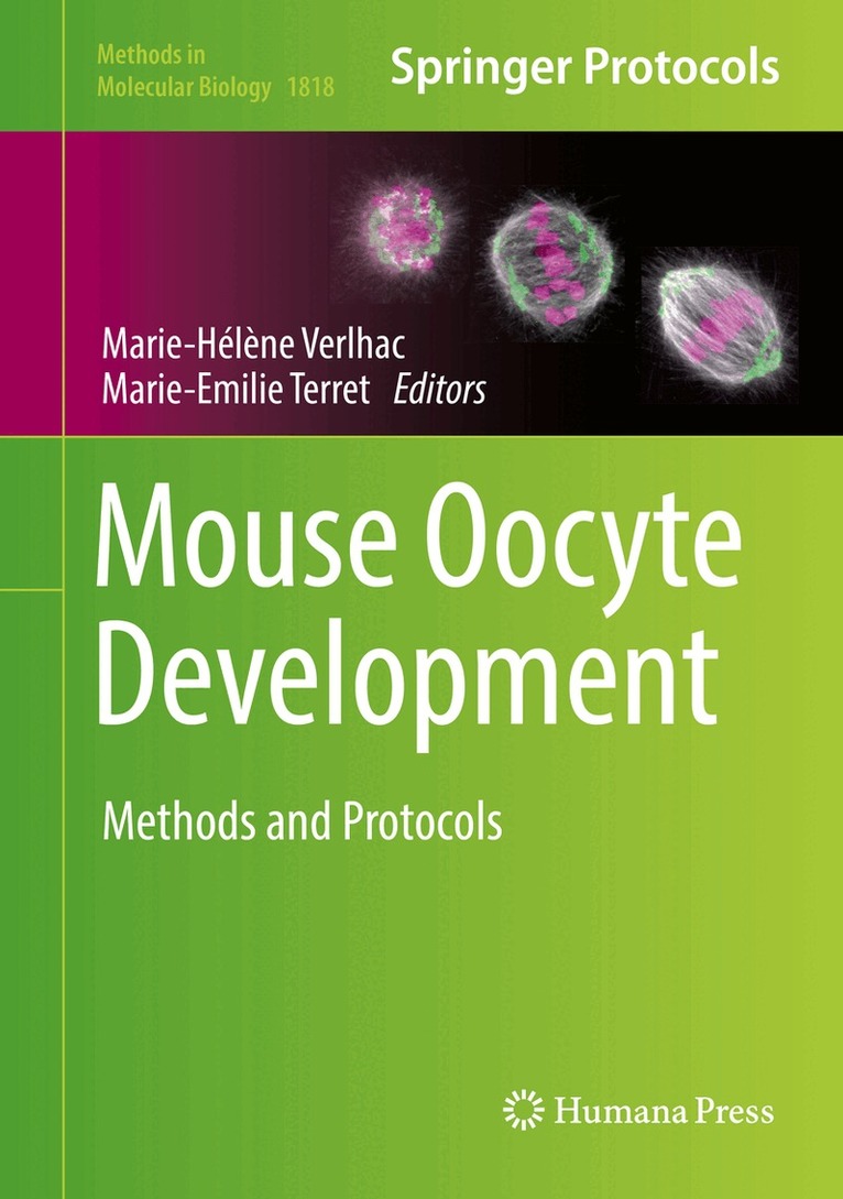 Marie-Hélène Verlhac, Marie-Emilie Terret - Mouse Oocyte Development, Inbunden