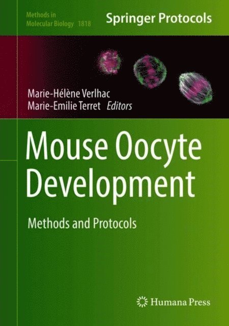 Marie-Emilie Terret, Marie-Helene Verlhac - Mouse Oocyte Development, E-bok
