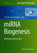miRNA Biogenesis