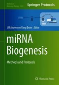 miRNA Biogenesis