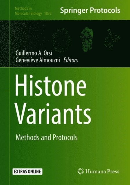 Genevieve Almouzni, Guillermo A. Orsi - Histone Variants, E-bok. Tillgänglighet: Lägg i varukorg
