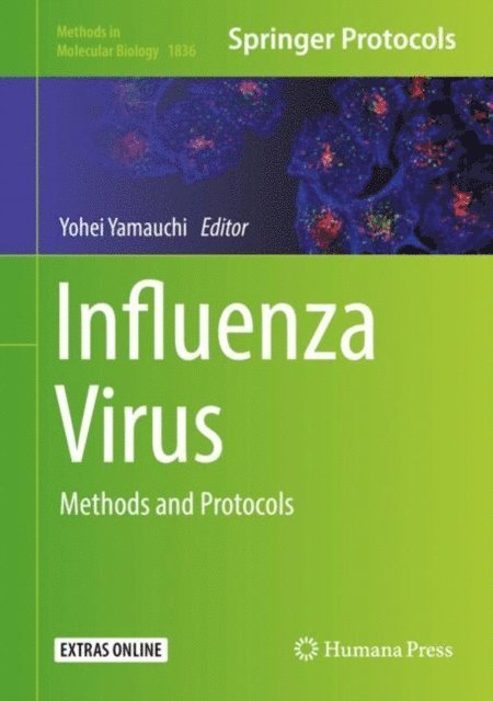 Yohei Yamauchi - Influenza Virus, E-bok