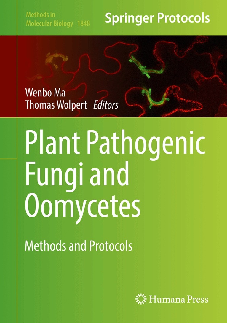 Wenbo Ma, Thomas Wolpert - Plant Pathogenic Fungi and Oomycetes, Inbunden