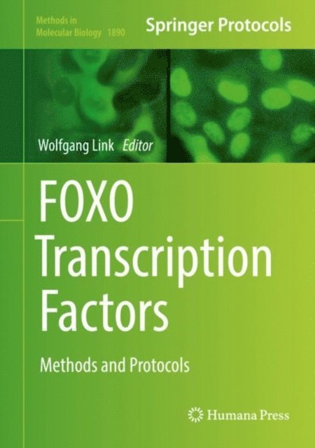 Wolfgang Link - FOXO Transcription Factors, E-bok