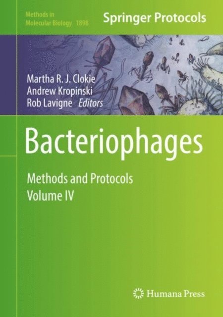 Rob Lavigne, Andrew Kropinski, Martha R. J. Clokie - Bacteriophages, E-bok