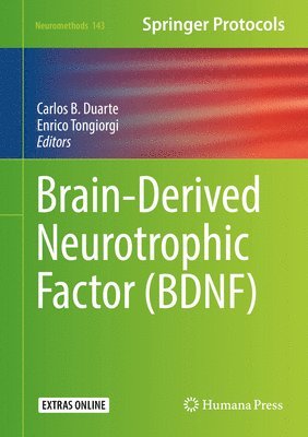 Brain-Derived Neurotrophic Factor (BDNF) av Carlos B Duarte, Enrico Tongiorgi