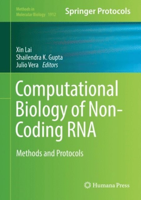 Julio Vera, Shailendra K. Gupta, Xin Lai - Computational Biology of Non-Coding RNA, E-bok