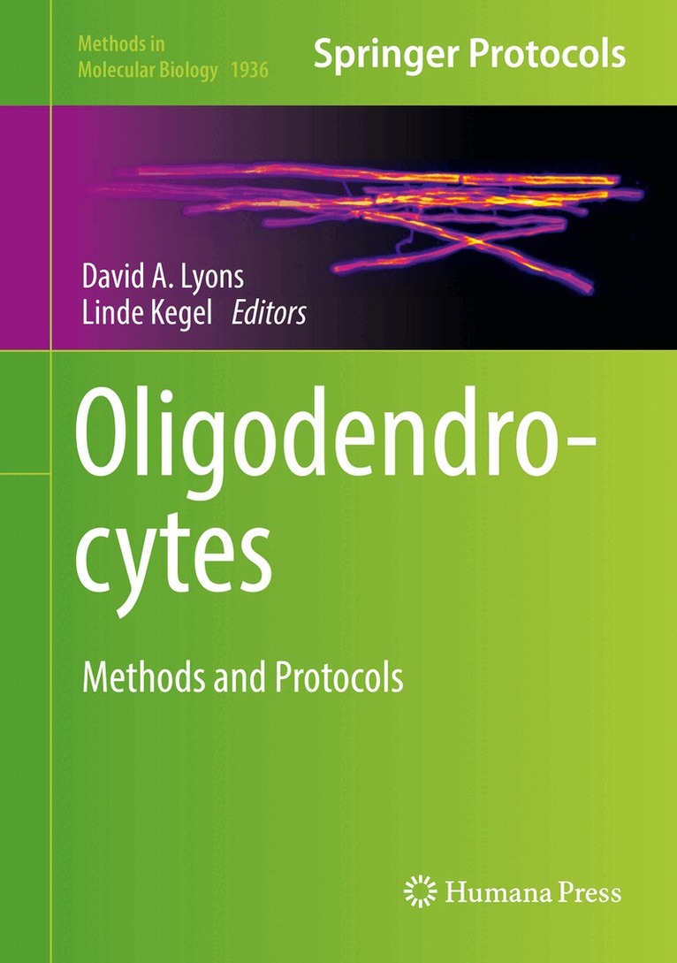 David A. Lyons, Linde Kegel - Oligodendrocytes, Inbunden