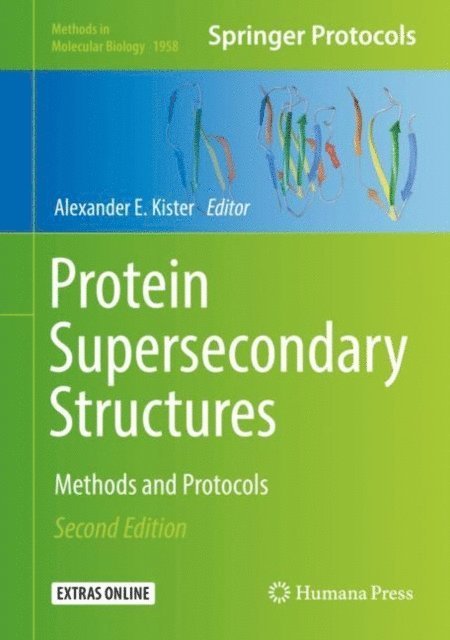 Alexander E. Kister - Protein Supersecondary Structures, E-bok