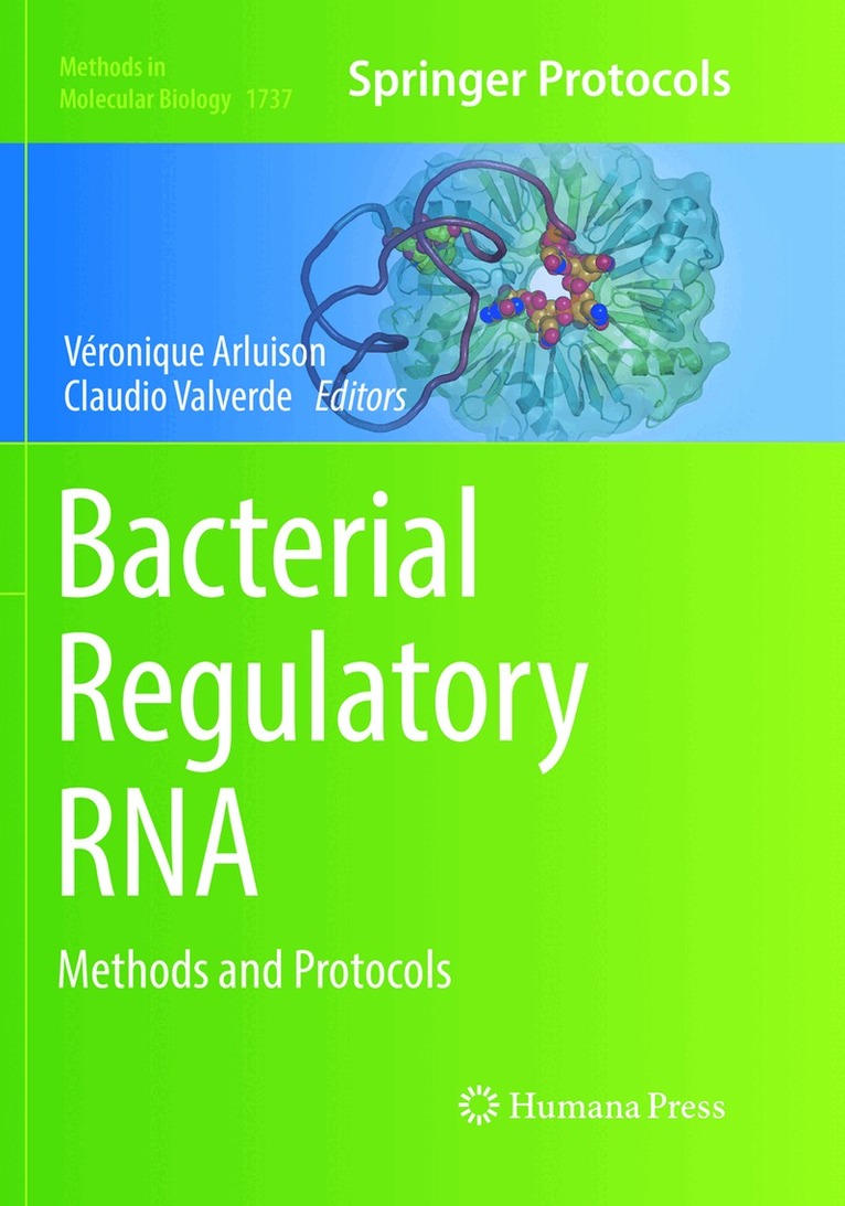 Véronique Arluison, Claudio Valverde - Bacterial Regulatory RNA, Häftad