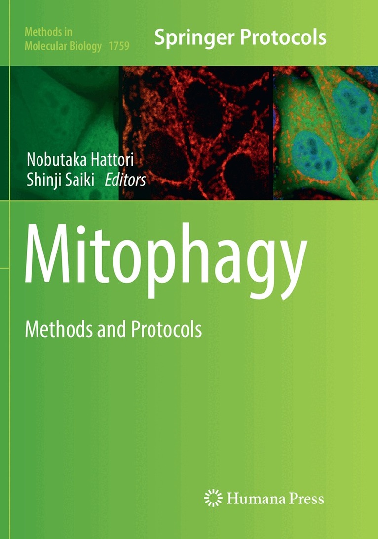 Nobutaka Hattori, Shinji Saiki - Mitophagy, Häftad