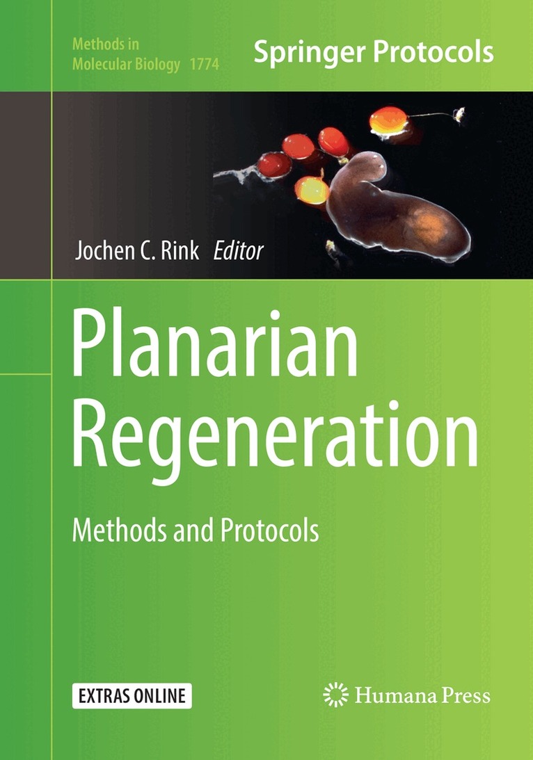 Jochen C. Rink - Planarian Regeneration, Häftad