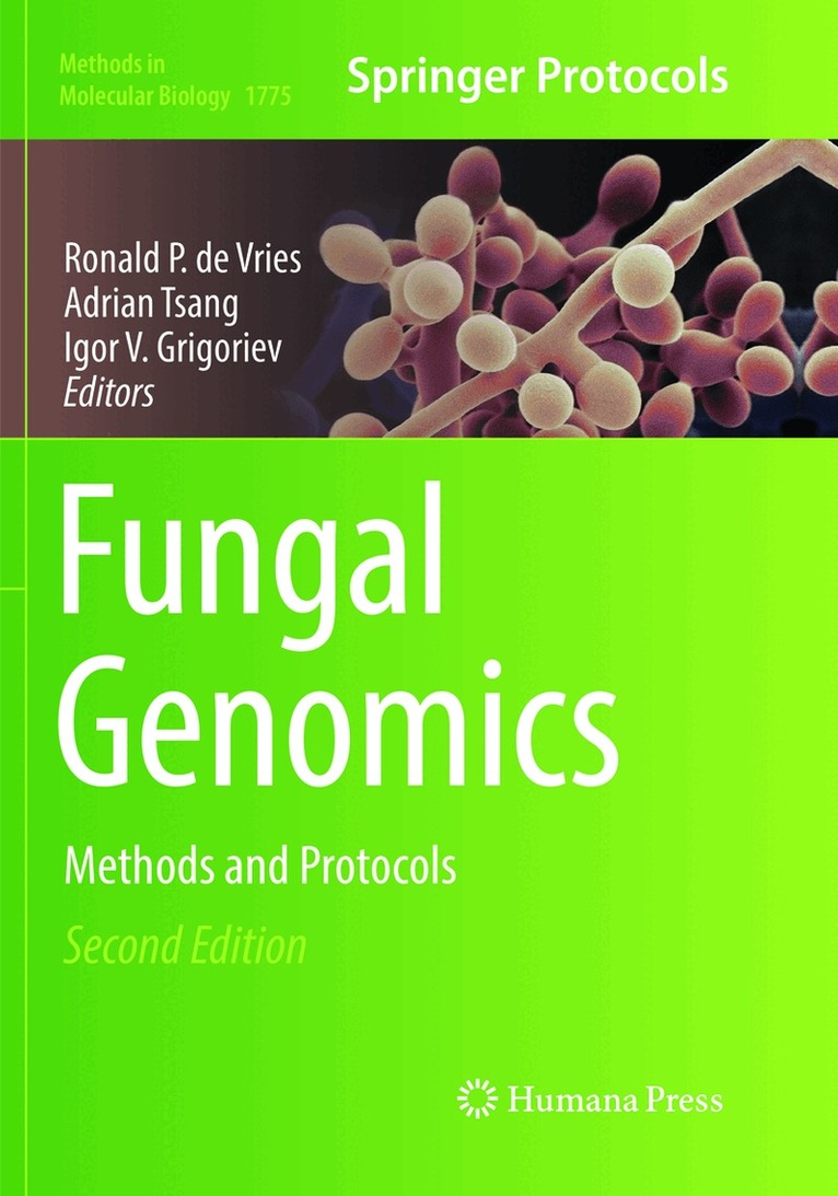 Ronald P. de Vries, Adrian Tsang, Igor V. Grigoriev - Fungal Genomics, Häftad