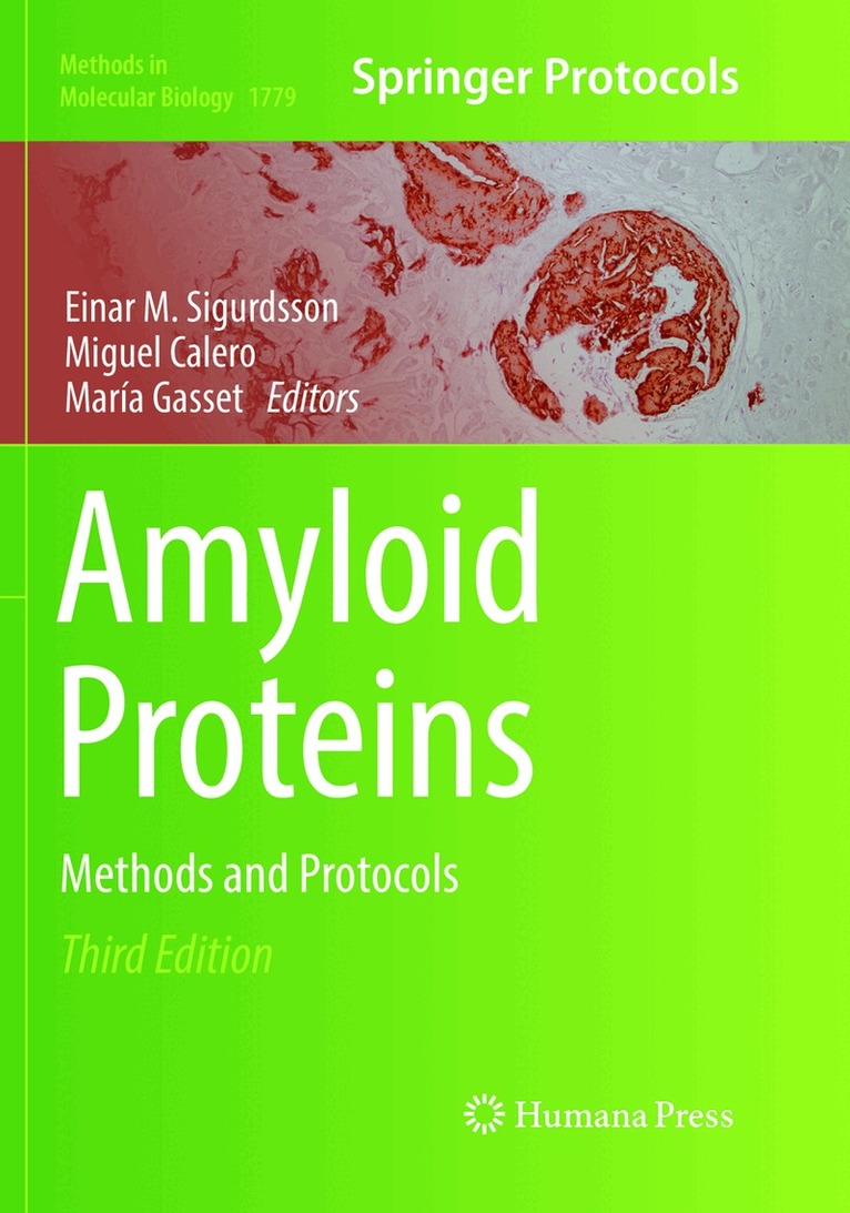 Einar M. Sigurdsson, Miguel Calero, María Gasset - Amyloid Proteins, Häftad