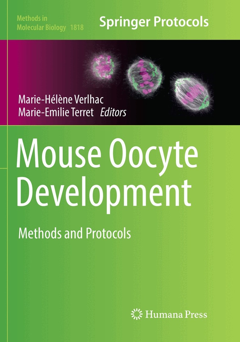 Marie-Hélène Verlhac, Marie-Emilie Terret - Mouse Oocyte Development, Häftad