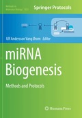 miRNA Biogenesis