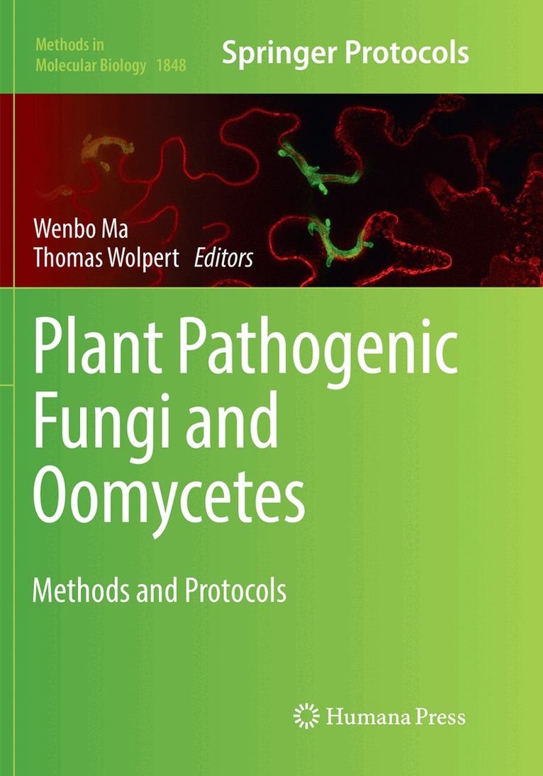 Wenbo Ma, Thomas Wolpert - Plant Pathogenic Fungi and Oomycetes, Häftad