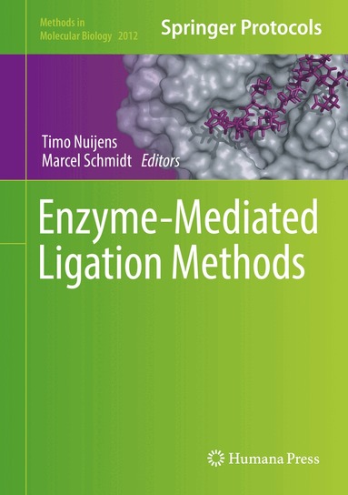 Timo Nuijens, Marcel Schmidt - Enzyme-Mediated Ligation Methods, Inbunden