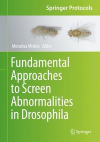 Fundamental Approaches to Screen Abnormalities in Drosophila