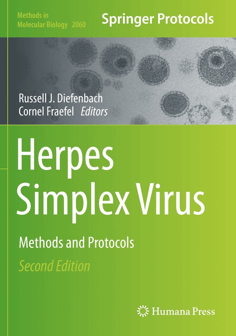 Russell J. Diefenbach, Cornel Fraefel - Herpes Simplex Virus, Häftad