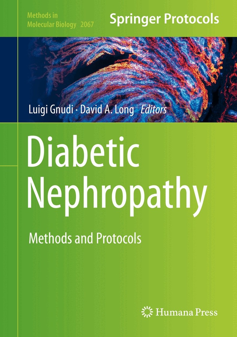 Luigi Gnudi, David A. Long - Diabetic Nephropathy, Inbunden
