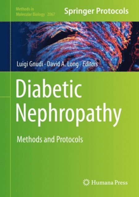 David A. Long, Luigi Gnudi - Diabetic Nephropathy, E-bok