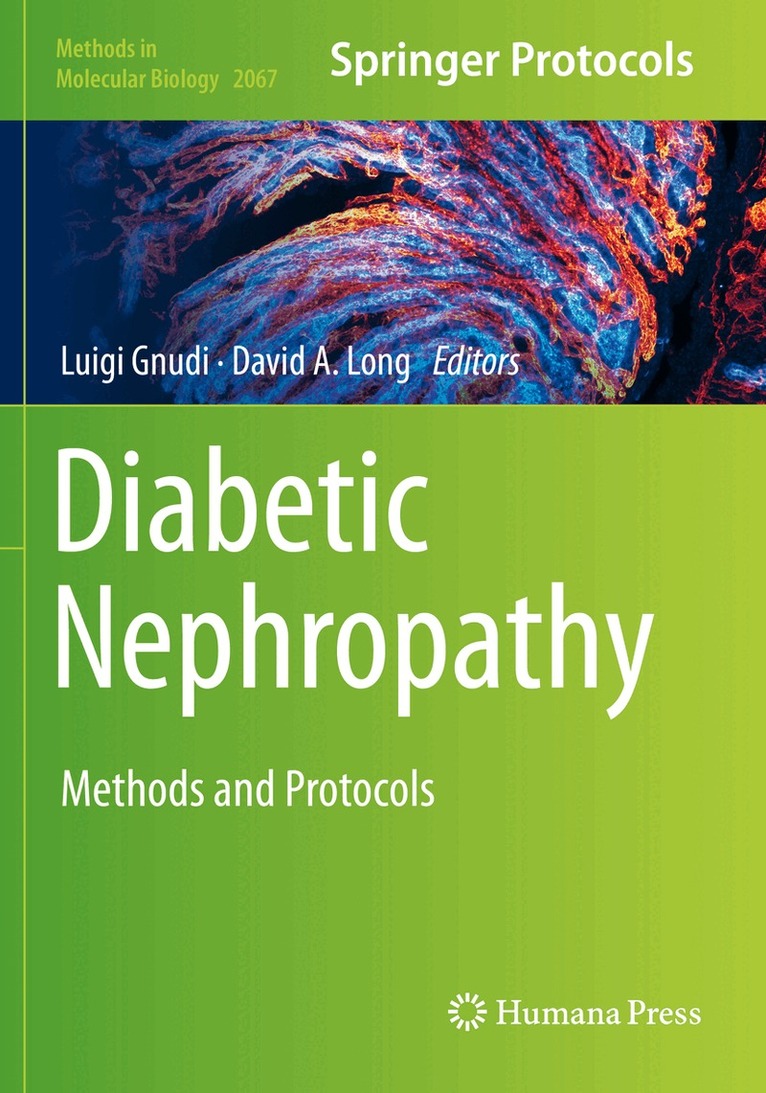 Luigi Gnudi, David A. Long - Diabetic Nephropathy, Häftad