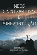 Meus cinco sentidos e minha intuicao