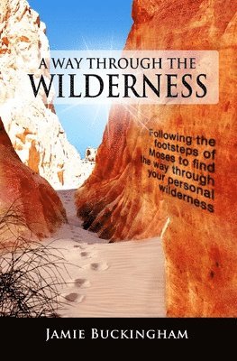 Jamie Buckingham, Bruce Buckingham - Way Through the Wilderness, Häftad