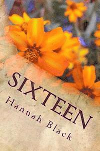 Hannah Black - Sixteen, Häftad