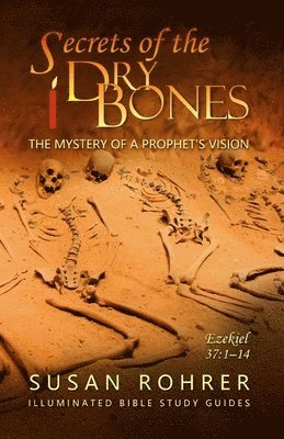 Susan Rohrer - Secrets of the Dry Bones, Häftad