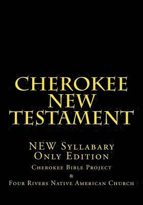 Johannah Meeks Ries, Brian Wilkes - Cherokee New Testament, Häftad