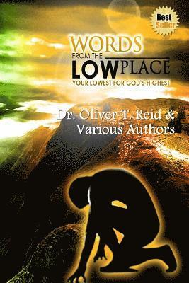 Oliver T. Reid - Words From The Low Place: Your Lowest for God's Highest, Häftad. Tillgänglighet: Lägg i varukorg