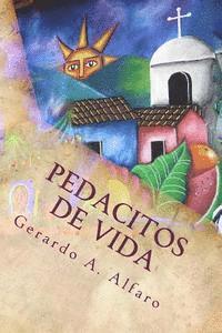 Gerardo A. Alfaro - Pedacitos de Vida, Häftad. Tillgänglighet: Lägg i varukorg