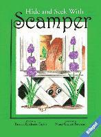 Patricia Eytcheson Taylor - Hide And Seek With Scamper, Bilingual, Inbunden