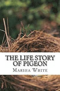 Marsha White - The Life Story of Pigeon: Moving from trees to windows, a side-effect of deforestation, Häftad. Tillgänglighet: Lägg i varukorg