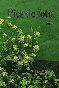 Alberto De La Madrid - Pies de foto 2013, Häftad. Tillgänglighet: Lägg i varukorg