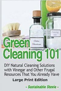 Sustainable Stevie - Green Cleaning 101 (Large Print Edition), Häftad. Tillgänglighet: Lägg i varukorg