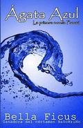 gata Azul: La primera novela Froura