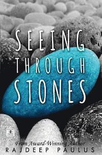 Rajdeep Paulus - Seeing Through Stones: Young Adult Contemporary Fiction, Häftad. Tillgänglighet: Lägg i varukorg
